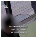 대장암 4기 판정받은 경찰의 직감 이미지