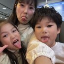 젤라또도넛아이스크림 | 젤라또 아이스크림 동탄타임테라스 도넛 푸롤리 푸롤리 타임테라스점 젤라또 도넛 내돈내산 구매후기...