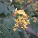 복사골공원 이미지