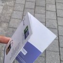 패션양재(중급) | 알펜시아 리조트 스키장 + 홀리데이인호텔 정말 사람없을 때 가서 저렴하게 즐기고 온 후기/정보/맛집/숙소