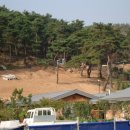 웰빙수의원 이미지