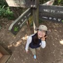 푸른코끼리 | ​📌 [서산 ] 주말 하루 코스 데이트로 딱이었던 황금산 코끼리바위 솔직후기