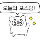 카페코이드