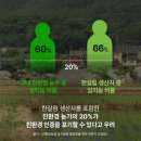 친환경농부 네이버블로그