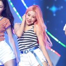 오프더데이지 이미지