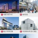 아모레관광 이미지