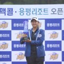 용평리조트 골프클럽 이미지
