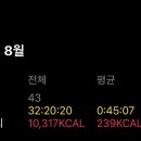크로스핏디와이