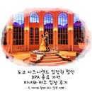 맥스그룹(MAX Group) | 도쿄 디즈니랜드 입장권 할인 DPA 종류 가격 미녀와 야수 입장 후기