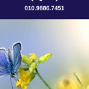 유성건강약국 이미지