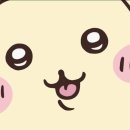 만쥬하나 이미지