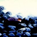 독도어부 이미지