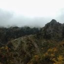 봉촌농장 이미지