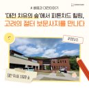 산야초치유휴양마을 | &#39;대전 치유의 숲&#39;에서 피톤치드 힐링, 고려의 절터 보문사지를 만나다
