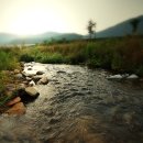 개울과 사람들 이미지