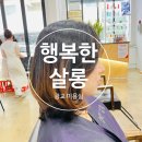 광교 미용실 행복한살롱에서 셋팅펌 후기