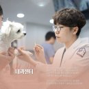 24시스마트동물메디컬센터 | 강아지 당뇨병성 케톤산증 치료후기 [24시 노아동물메디컬센터 진료케이스]