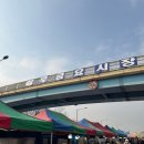 상무금요시장 옆 | 광주 상무금요시장 상무시민공원에서 열리는 상무재래시장 장보기