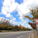 삼락오토캠핑장 이미지