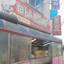 마시조아