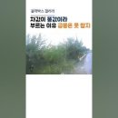 와대박 이미지