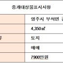부석공인중개사사무소 이미지
