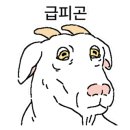 P0016 이미지