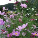 우리들세탁 이미지