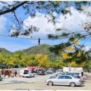 삼화리 동광 캠핑장 이미지