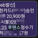 헥토_비인증