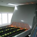 춘천농협 산지유통센터 이미지