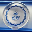 성수 선양소주 팝업스토어 방문 후기