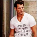 나만 없어 고양이 이미지