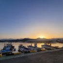 돌고래횟집 | 강원도 자연산 활어회!! 고성 현지인 맛집 [돌고래횟집] 방문 후기!!