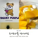 요거트퍼플경기대점 | [광교역 디저트] 꾸덕한 그릭요거트 맛집 요거트퍼플 경기대점 후기!