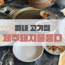 제주;돼지를품다