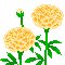 명품고속관광(주)