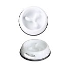 오렌지애견 이미지