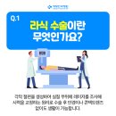 새빛안경콘택트 이미지