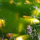 경인무예원 이미지