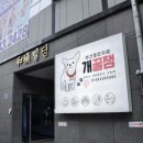 개꿀잼 애견카페 이미지