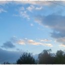 이담재 | 한달살기 자연 속에서 마음의 쉼표를 찍다: 횡성 둔내역 이담재 후기