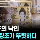 IMF 한국경제위기 최고 등급 레드 평가 이미지