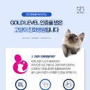 필동물병원 이미지