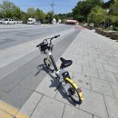 궁남지 전기자전거 대여소 | 충남 부여 가볼만한곳 궁남지 씽씽 자전거 대여해서 한 바퀴