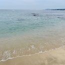 늘푸름펜션 이미지