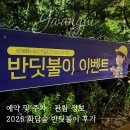 2026 화담숲 반딧불이 아이랑 후기, 예약 및 주차 관람 정보 총정리