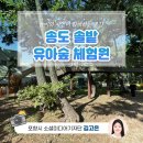 놀이와 자연이 함께하는 공간, 송도 솔밭 유아숲 체험원