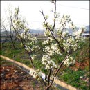 검암중학교 이미지