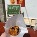 1563 | 연희맛집 하루한알 에그타르트 솔직후기